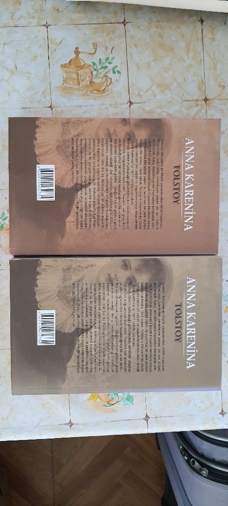 Anna Karenina TOLSTOY CİLT 1 VE CİLT 2 - 2