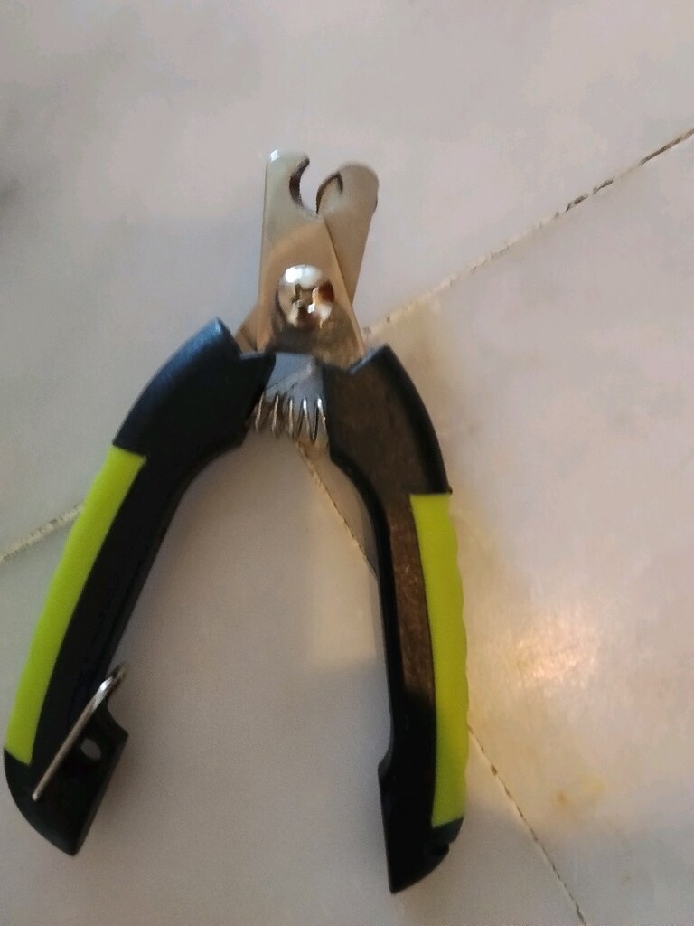 kedi tırnak makası