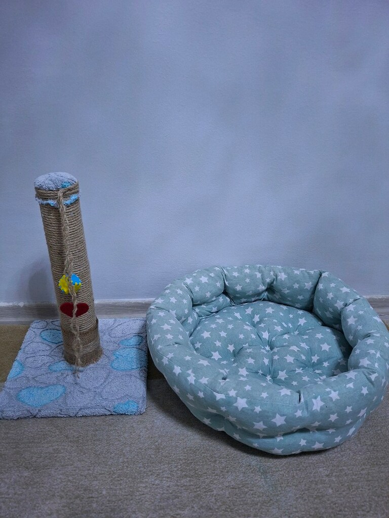 Kedi Yatağı, Tırmalama Tahtası,2 tarak,kum kabı - 2