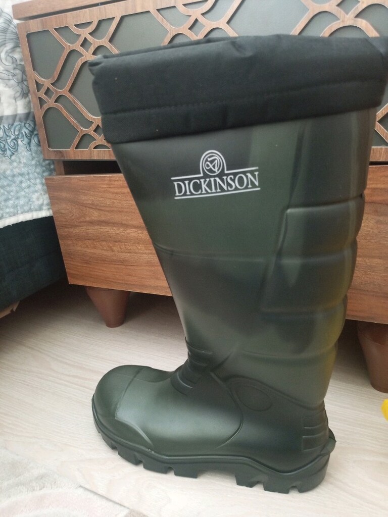 dickinson arms çizme bot - 4