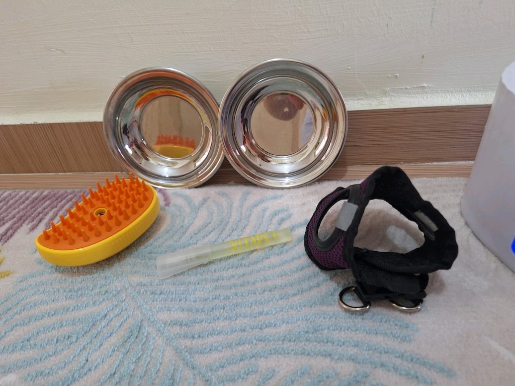 PETKIT otomatik kedi su pınarları - 3