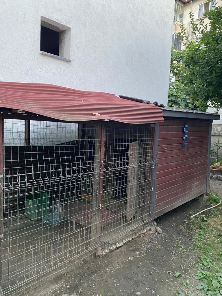 köpek kulübesi - 3