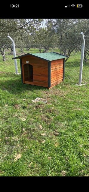 2 kişilik büyük ahşap köpek kulübesi