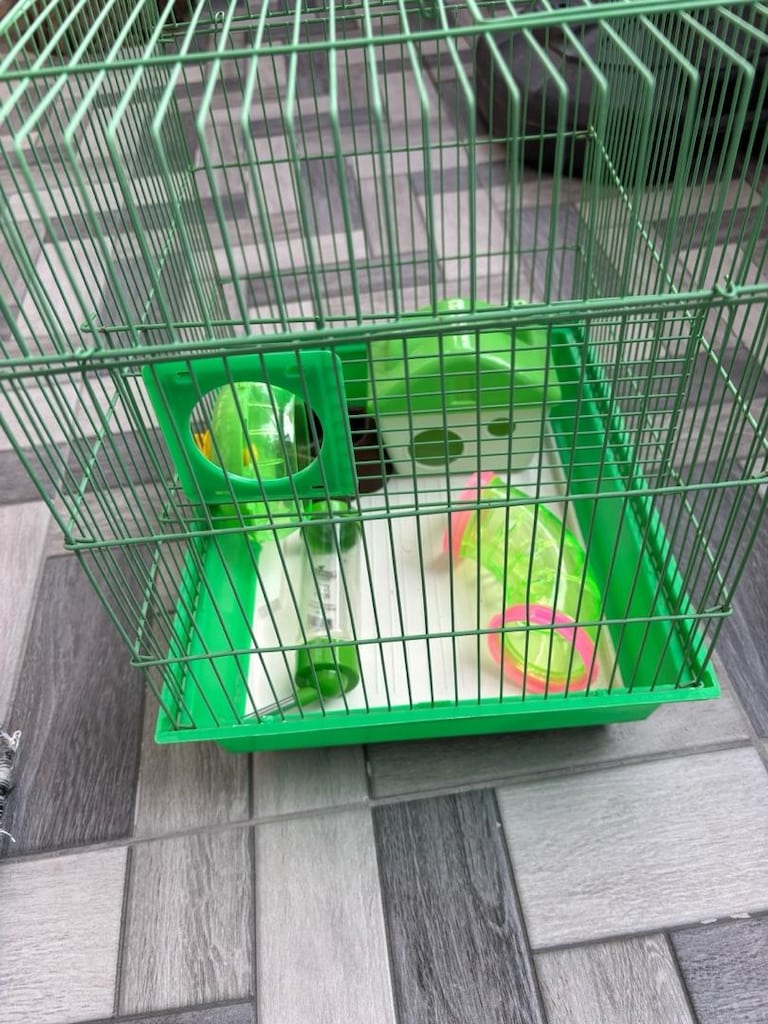 Sıfır ayarında hamster kafesi ve envanterleri - 4