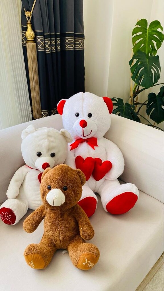 Peluş Ayılar - 2