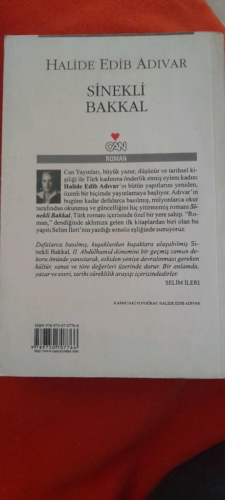 SİNEKLİ BAKKAL, HALİDE EDİP ADIVAR - 2
