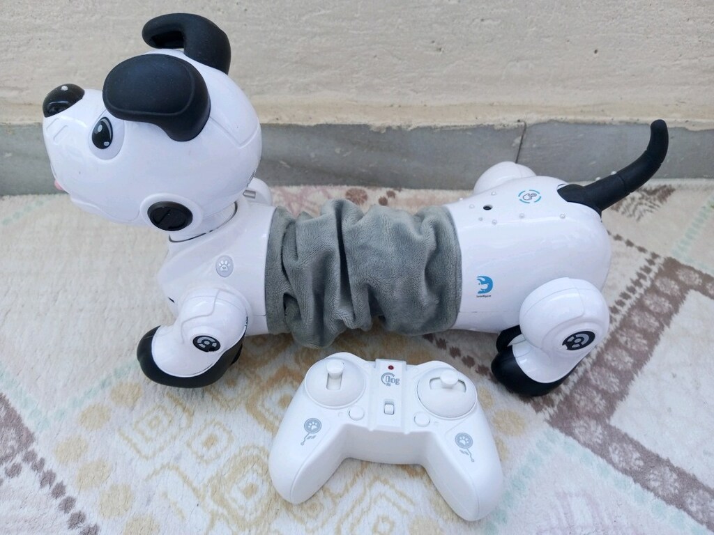 Robot köpek kumandalı - 5