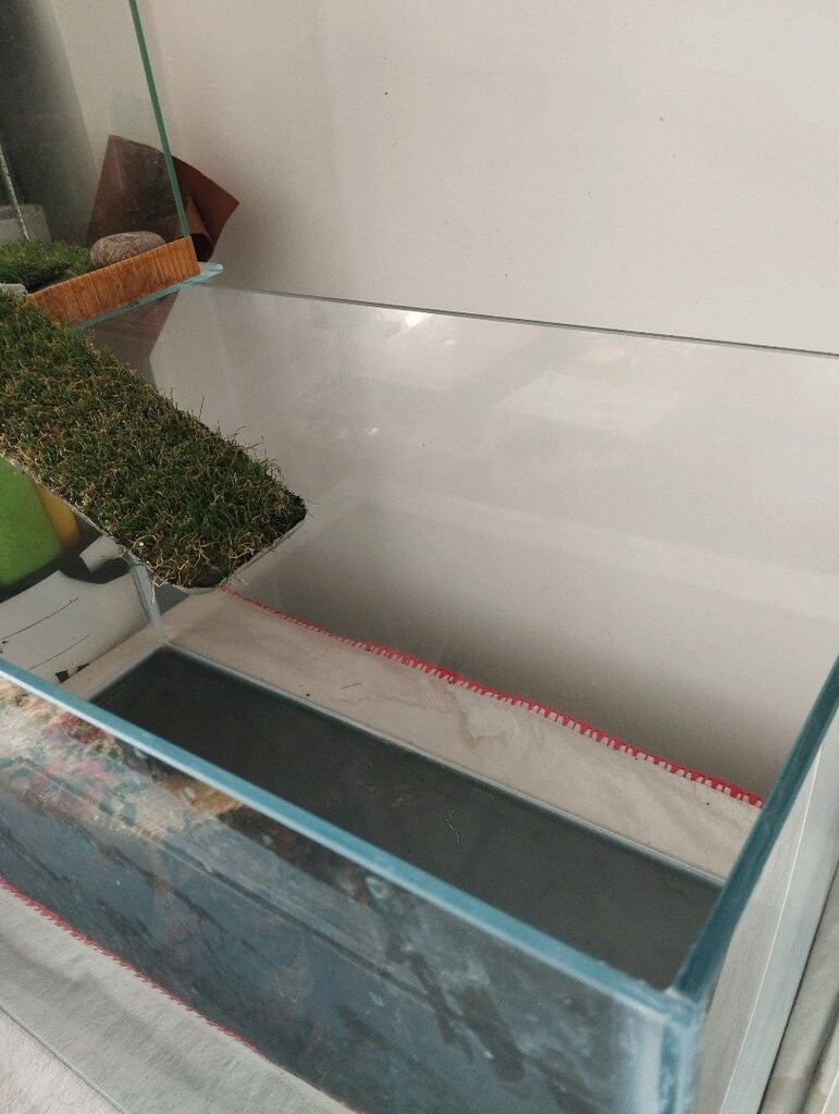 Akvaryum - 2
