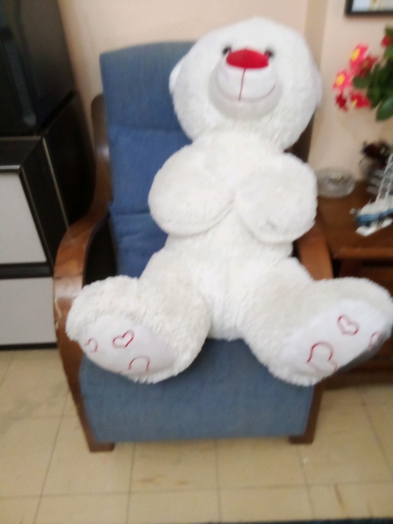 peluş ayi - 6