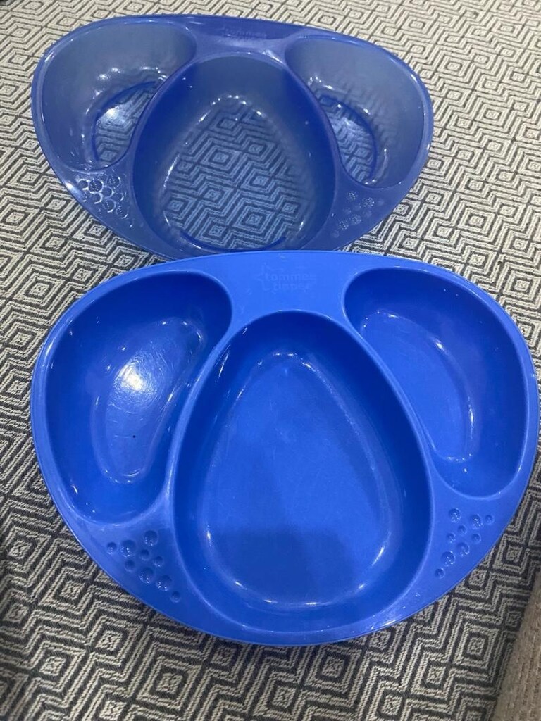 Tomme Tippee Bölmeli Çocuk Tabakları - 9