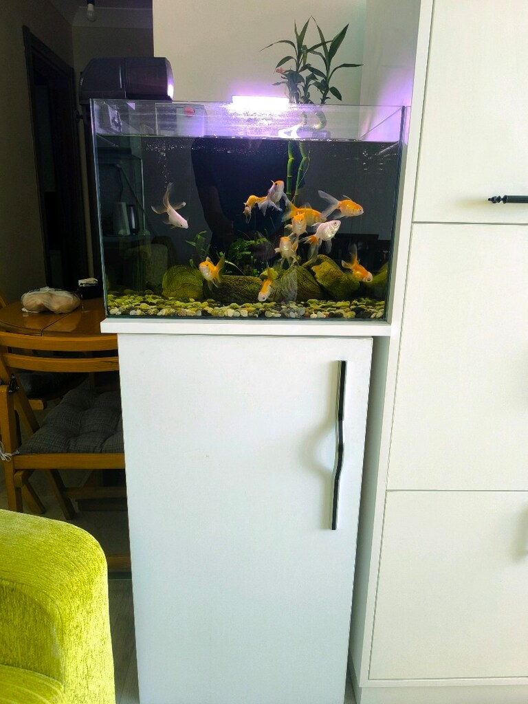 50x35x35h Dolaplı akvaryum Full+Full - 2