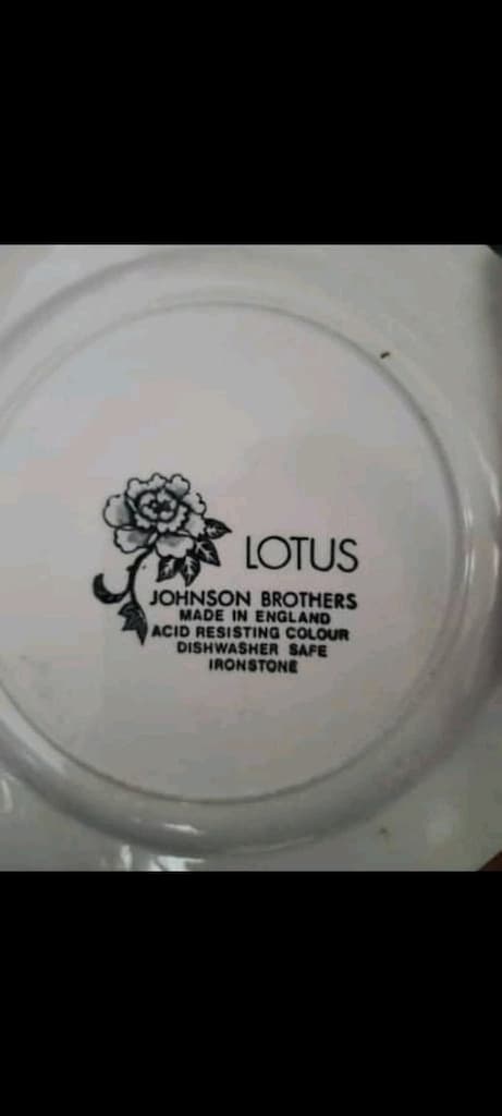 Antika İngiliz Porseleni Damgalı Lotus 12 Kişilik Yemek Pasta Kahvaltı - 5