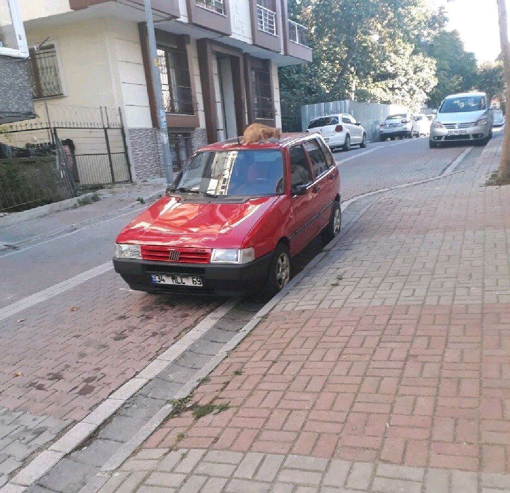TEK FİYAT FİAT UNO 1.4 70S 1995 ÇEKME BELGELİ Takaslı - 2