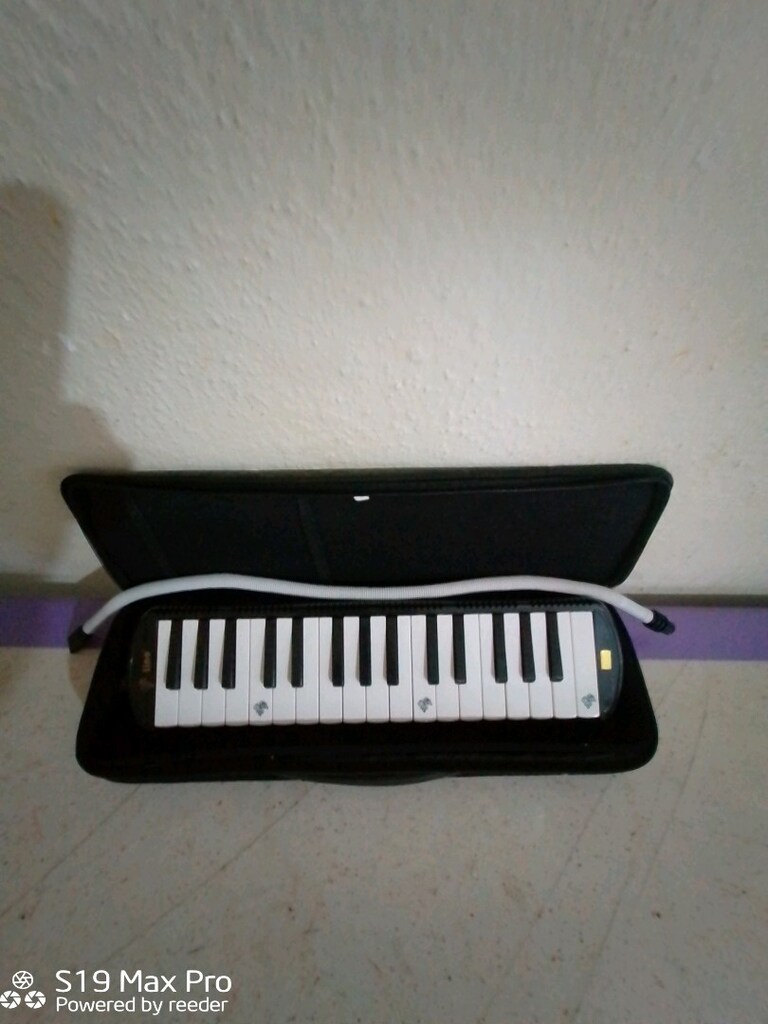 melodika 32 tuşlu - 2