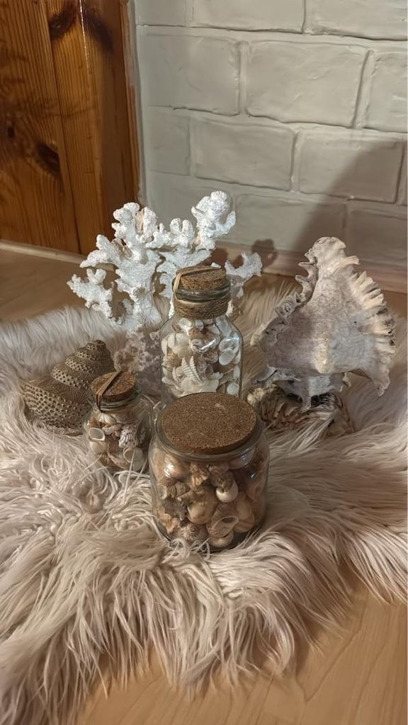 deniz temali gercek Deniz kabugu, ve digerleri. set halinde objeler - 2