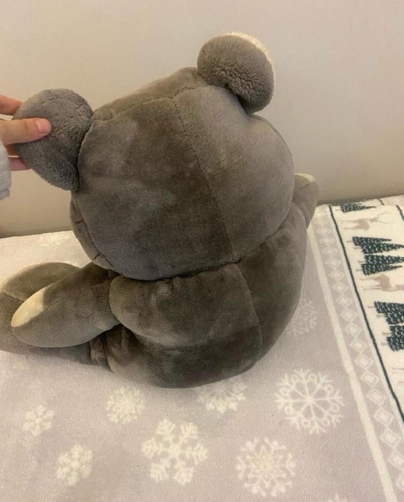 sevimli gri Peluş ayıcık - 4