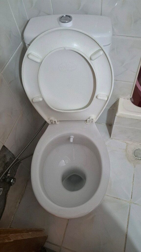 yeni tuvalet taşı - 2