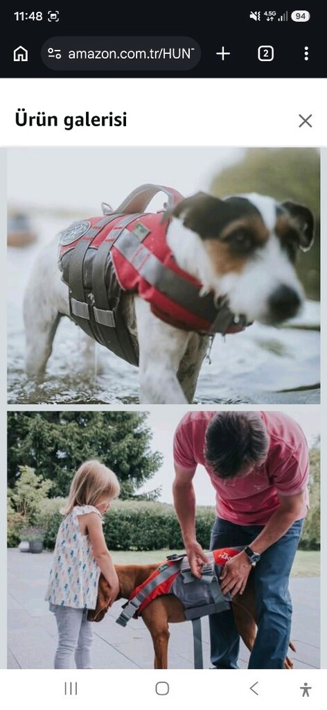 can yeleği köpek yüzme yeleği - 4