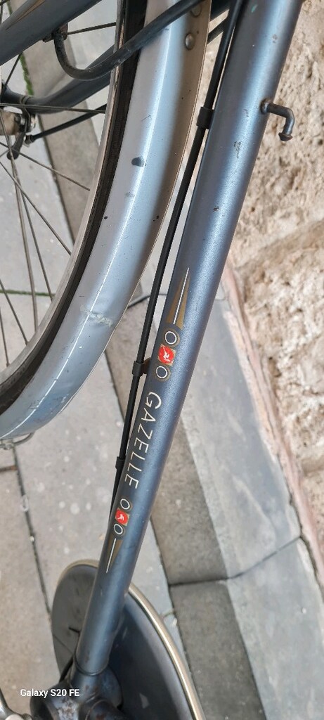 Gazelle bisiklet - 12