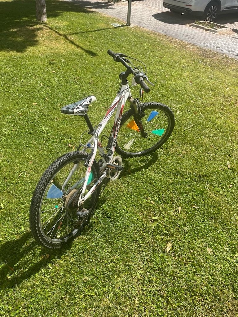 Bianchi Luca 24 Jant – 21 Vites Dağ Bisikleti - 3