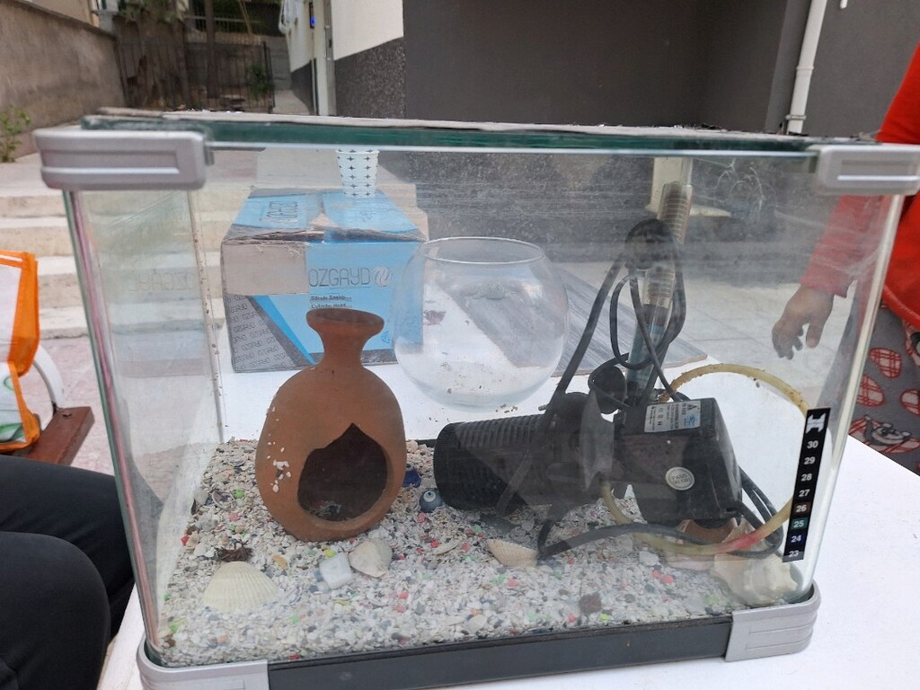 Balık akvaryum - 5