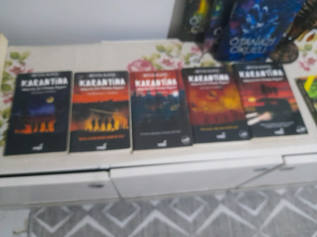 Beyza alkoçl karantina serisi - 5