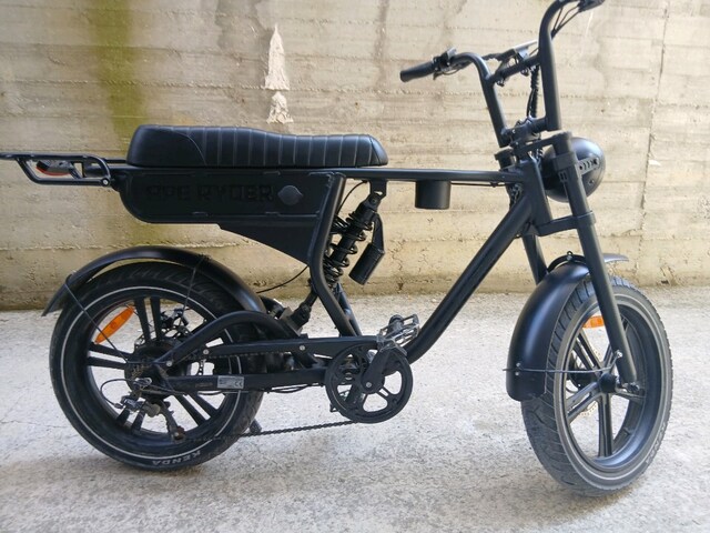 APE RYDER DC20