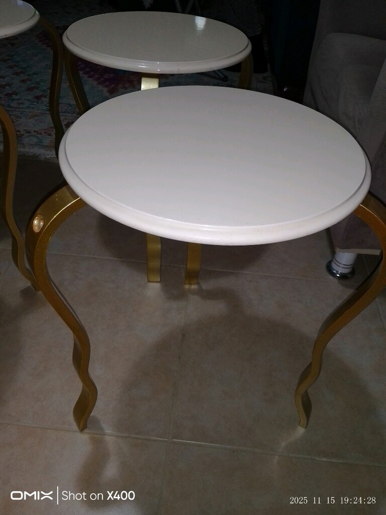 ÖRÜMCEK MODEL ZİGON SEHPA - 5