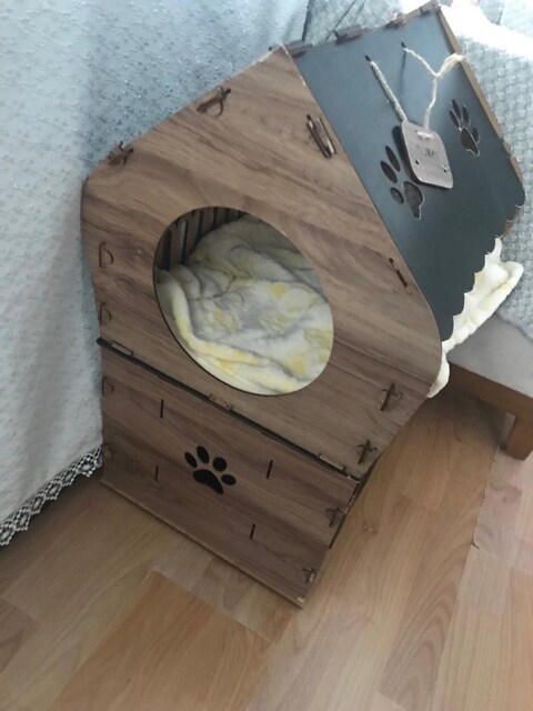 Kedi evi