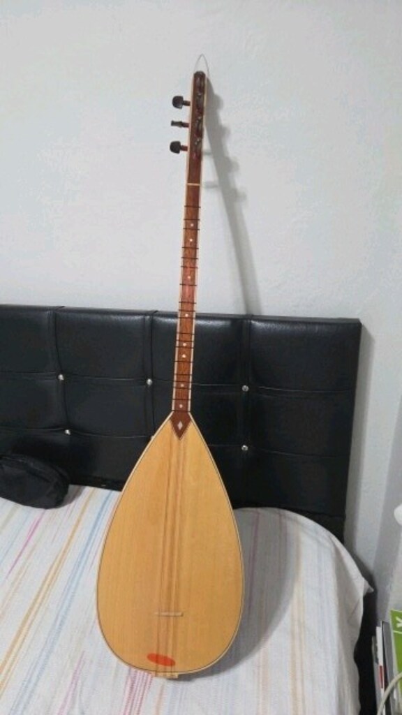KISA SAP PROFESYONEL BAĞLAMA - 4