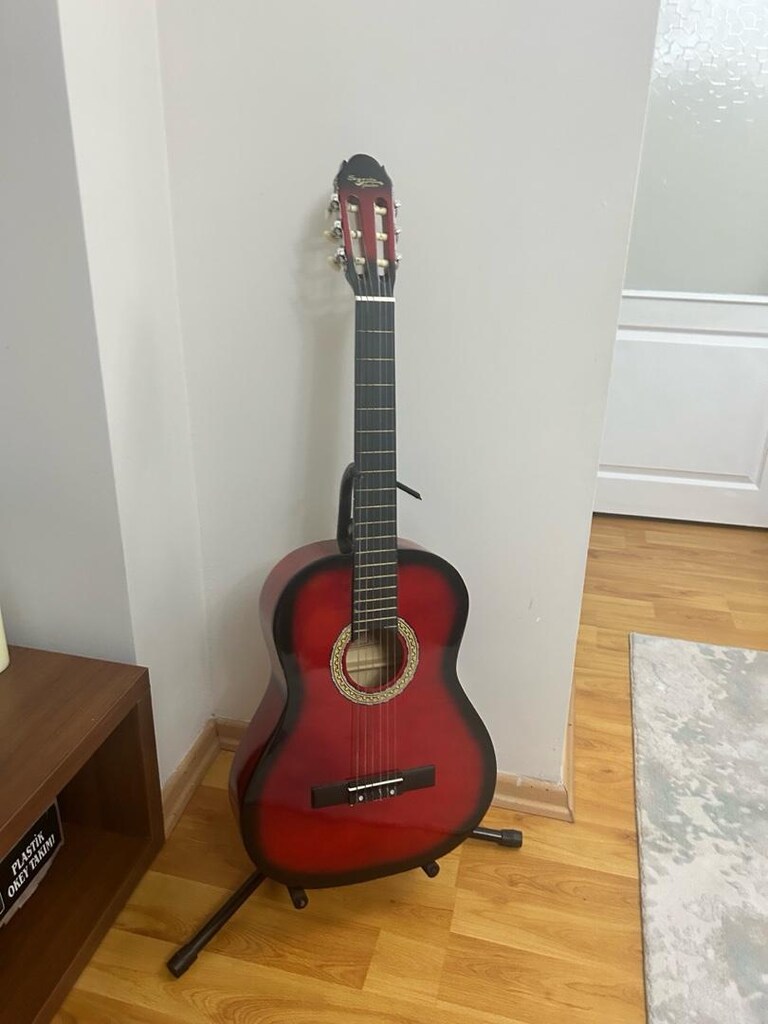 tertemiz klasik gitar - 2
