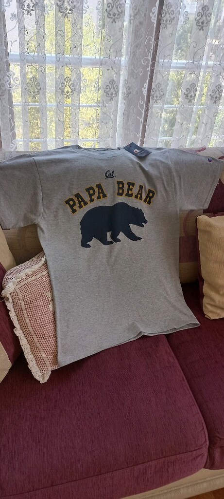 Papa Bear Tişört - 2