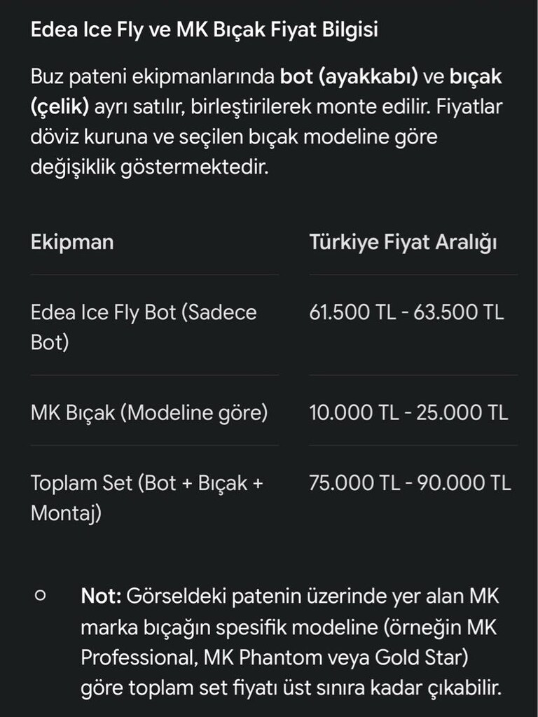 Edea Ice Fly Buz Pateni - 15