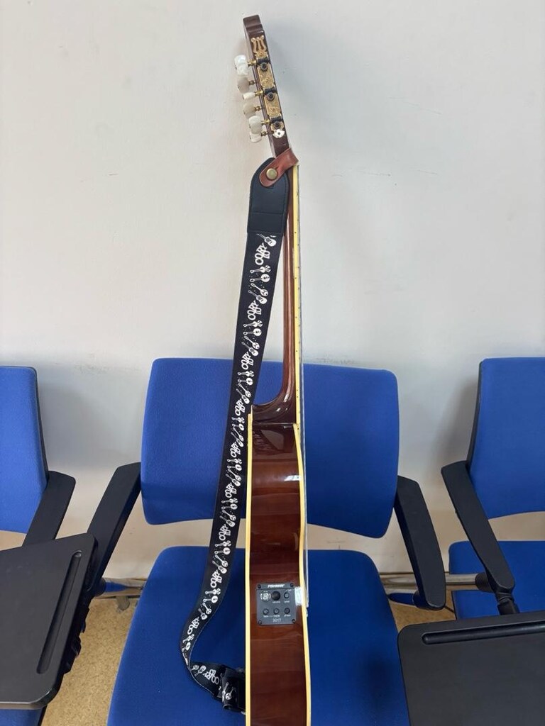 Wasburn EACT12 Elektro Klasik Gitar - 7