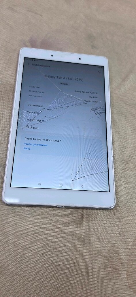 Samsung Galaxy Tab T 290 Cam Catlak - 3