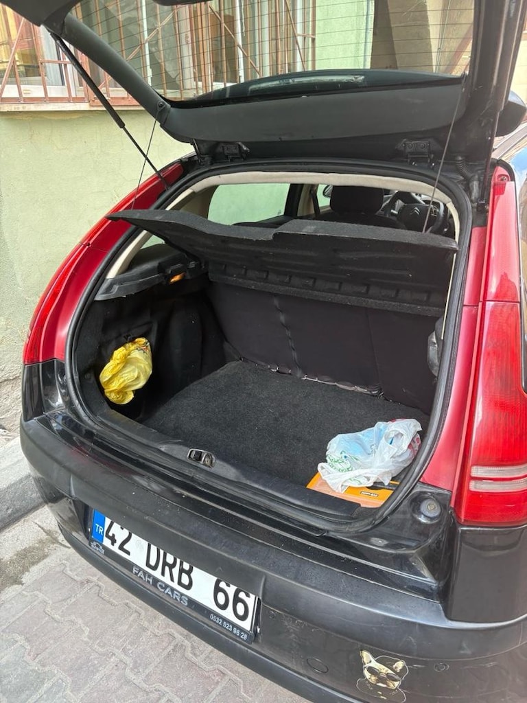 citrion bakımlı 110 hp - 13