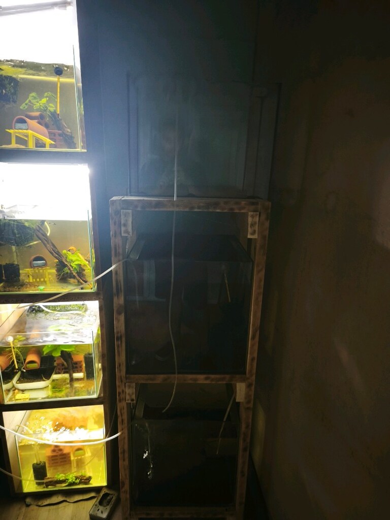 akvaryum 3 katlı - 2