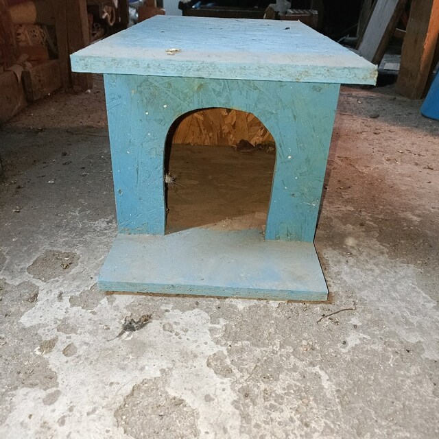 kedi köpek kulübesi