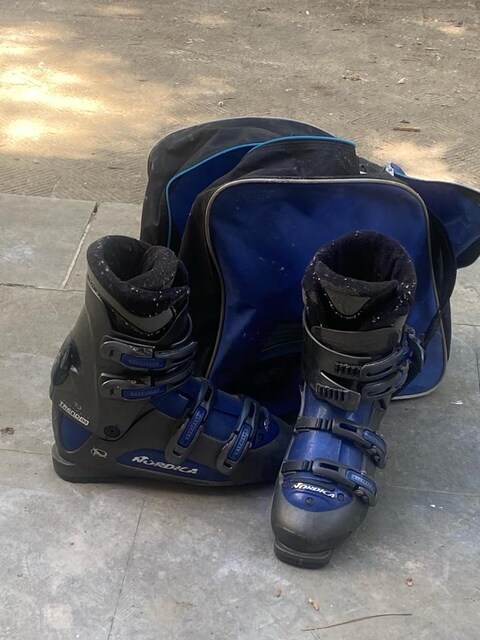 nordica