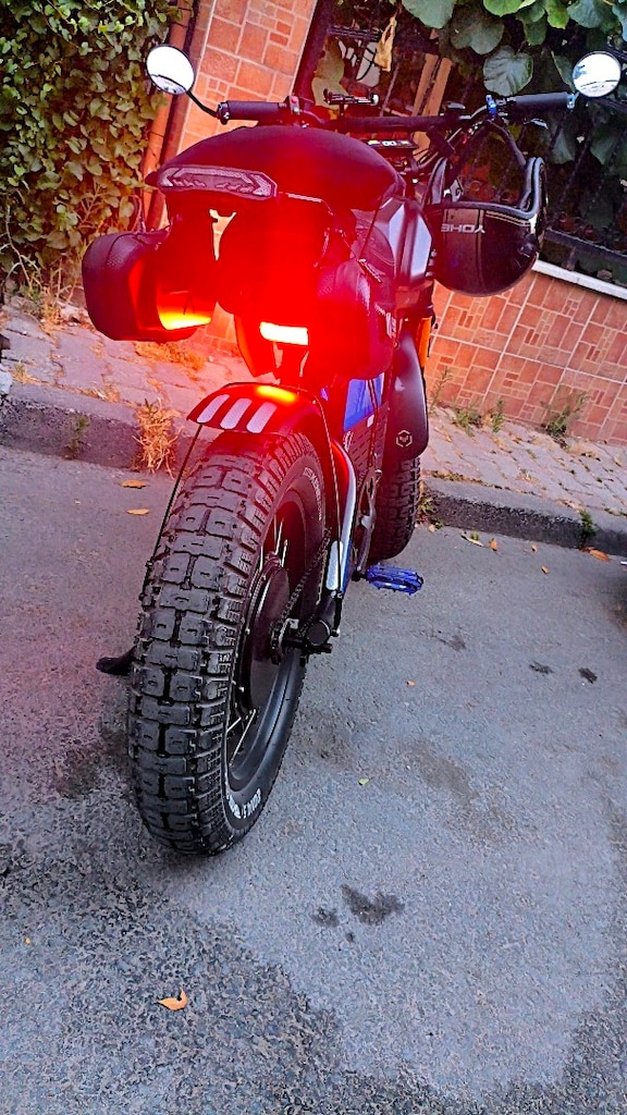 Ape Ryder Gibbon Direct Dirve Motor'lu 3500 WAT 63V 45AH - 2