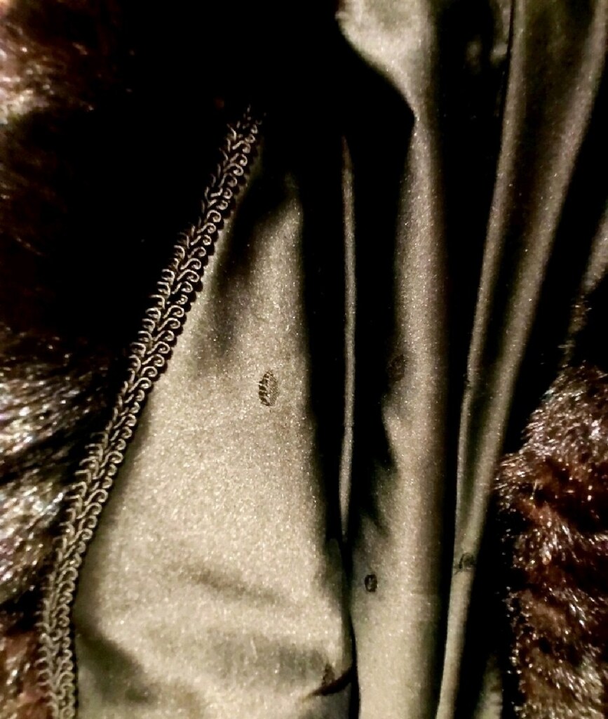 MODERN DESIGN FASHION BLACK VİZON PRIVATE LUXURY WOMEN FUR - 3