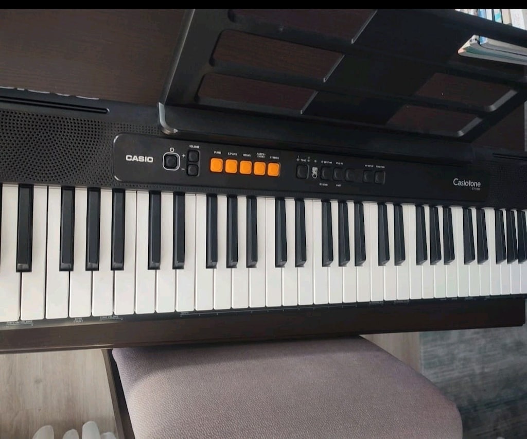 Casio CTS 100 Org - 4