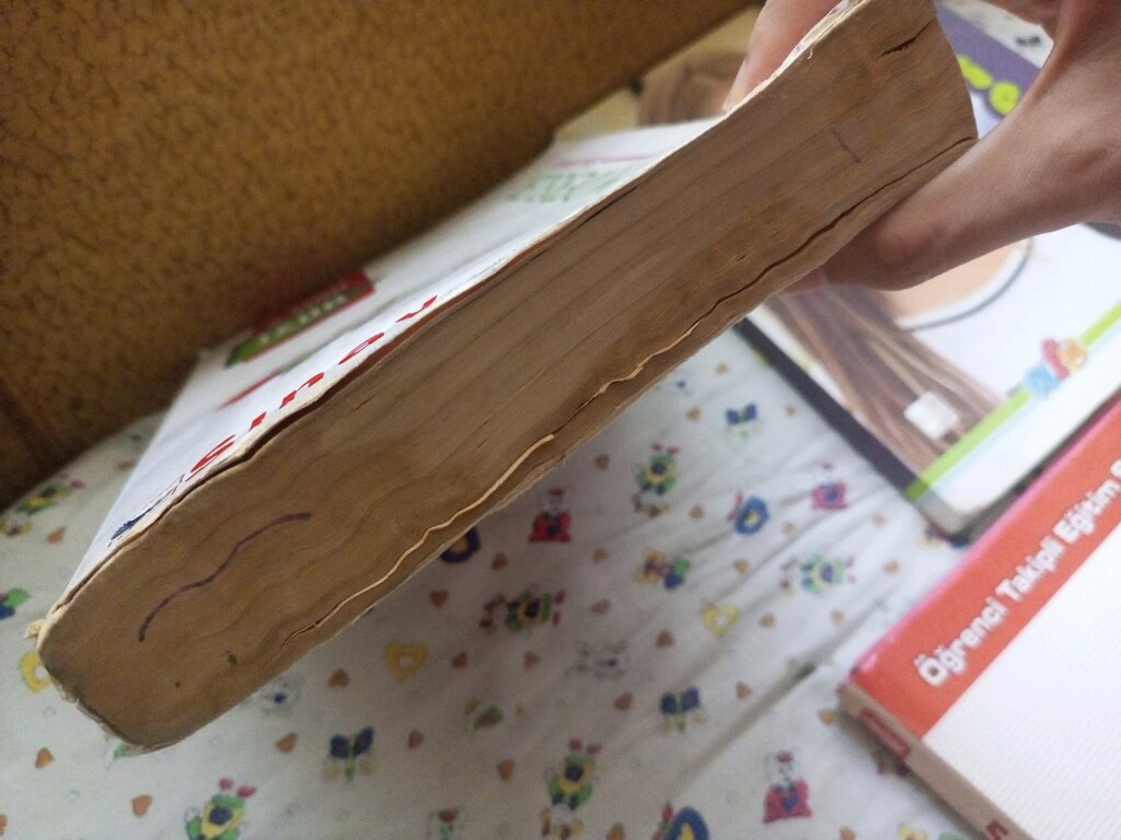 TEOG 8. Sınıf Matematik 5.Sınıf My friend 8.Sınıf Kitapları - 3
