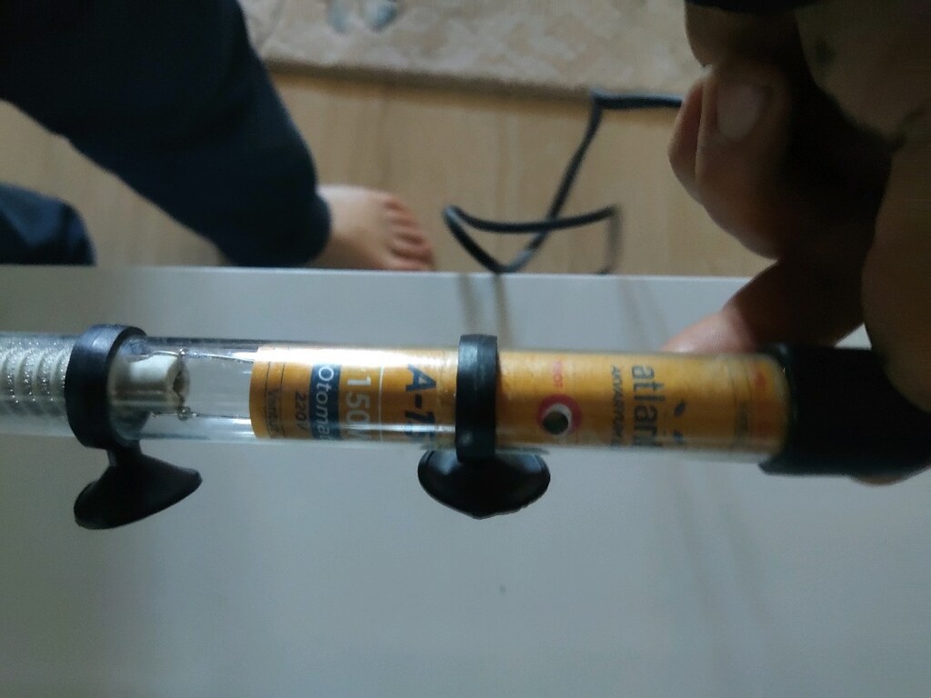 balıklarım soğuk sudan etkilenmesin diyen ısıtıcı yok diyenez - 4
