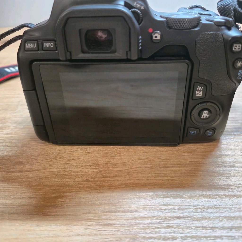 Canon EOS 250D + 18-55mm IS STM Lens - 9
