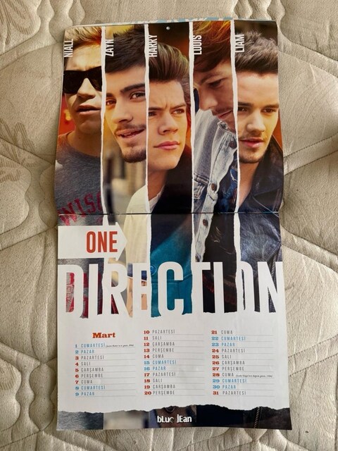 one direction 1d 2014 özel takvimi posteri