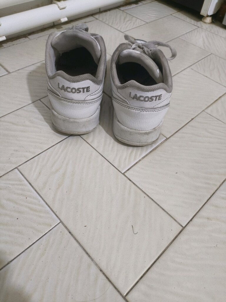 LACOSTE 37 No. Sorunsuz. - 2