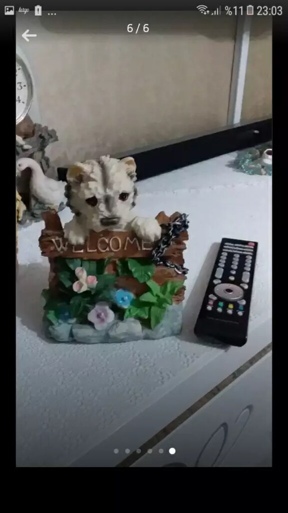 Biblo - 6