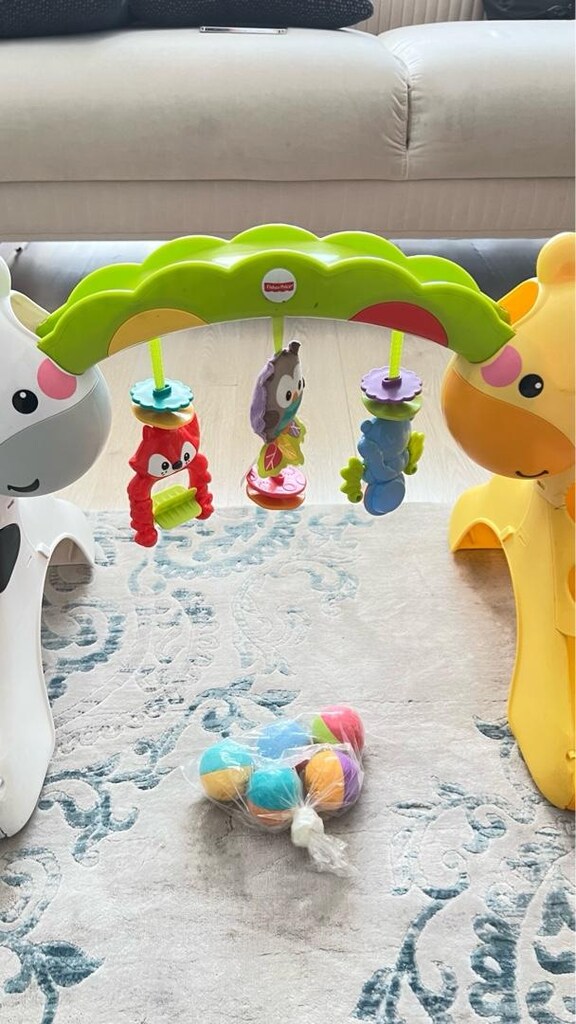 Fisher-Price IŞIKLI TOPLU OYUNCAK - 2