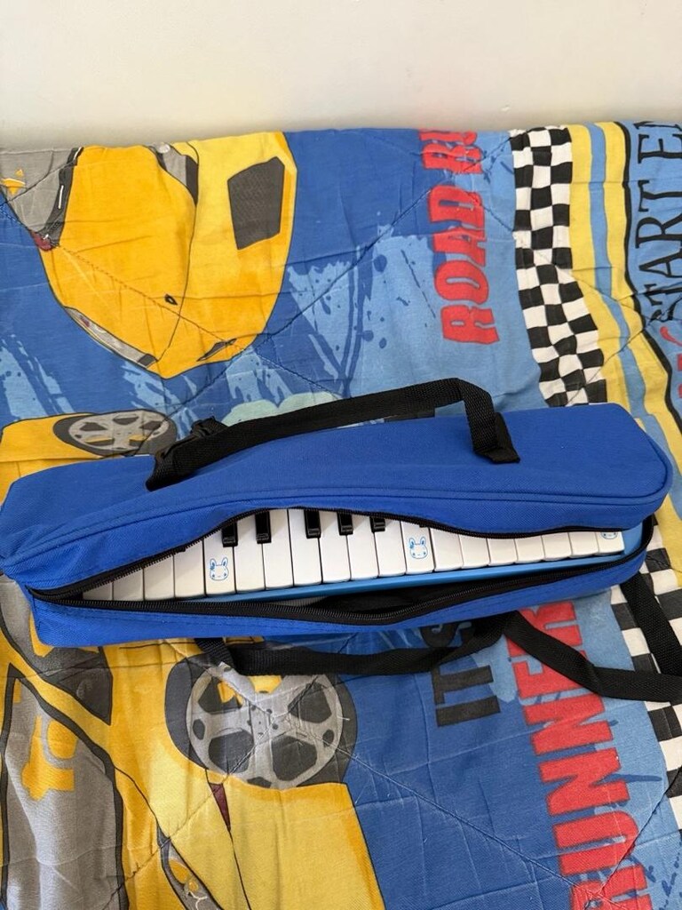 melodika - 4